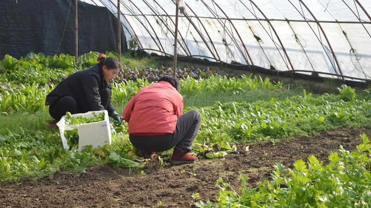 The UN honors young Argentines seeking to transform the food price chain