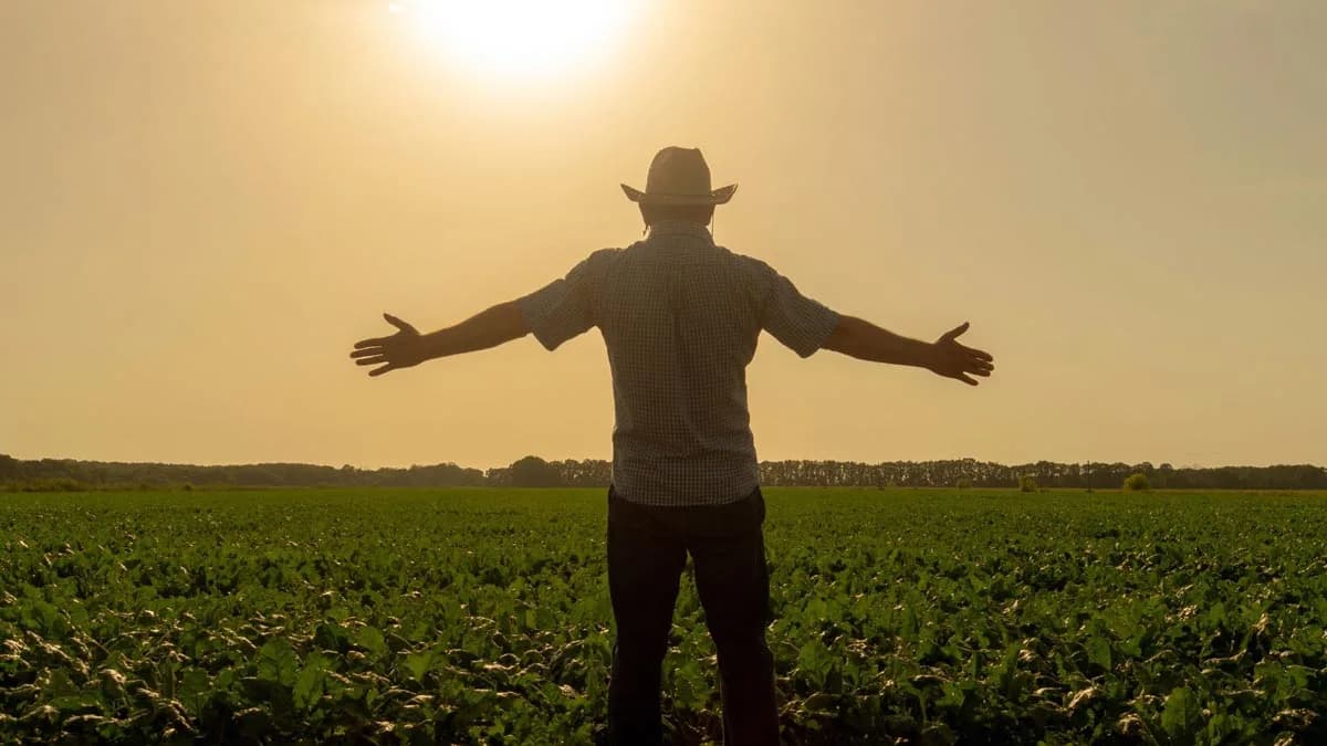 Estudou economia e criou o Uber da venda de alimentos