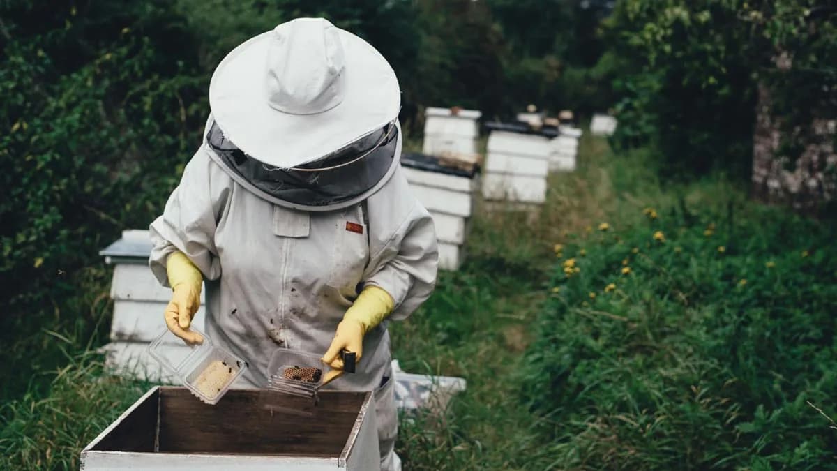 They want to transform the food market with an app, and they already have success stories