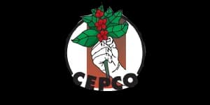 cepco logo origenes digital