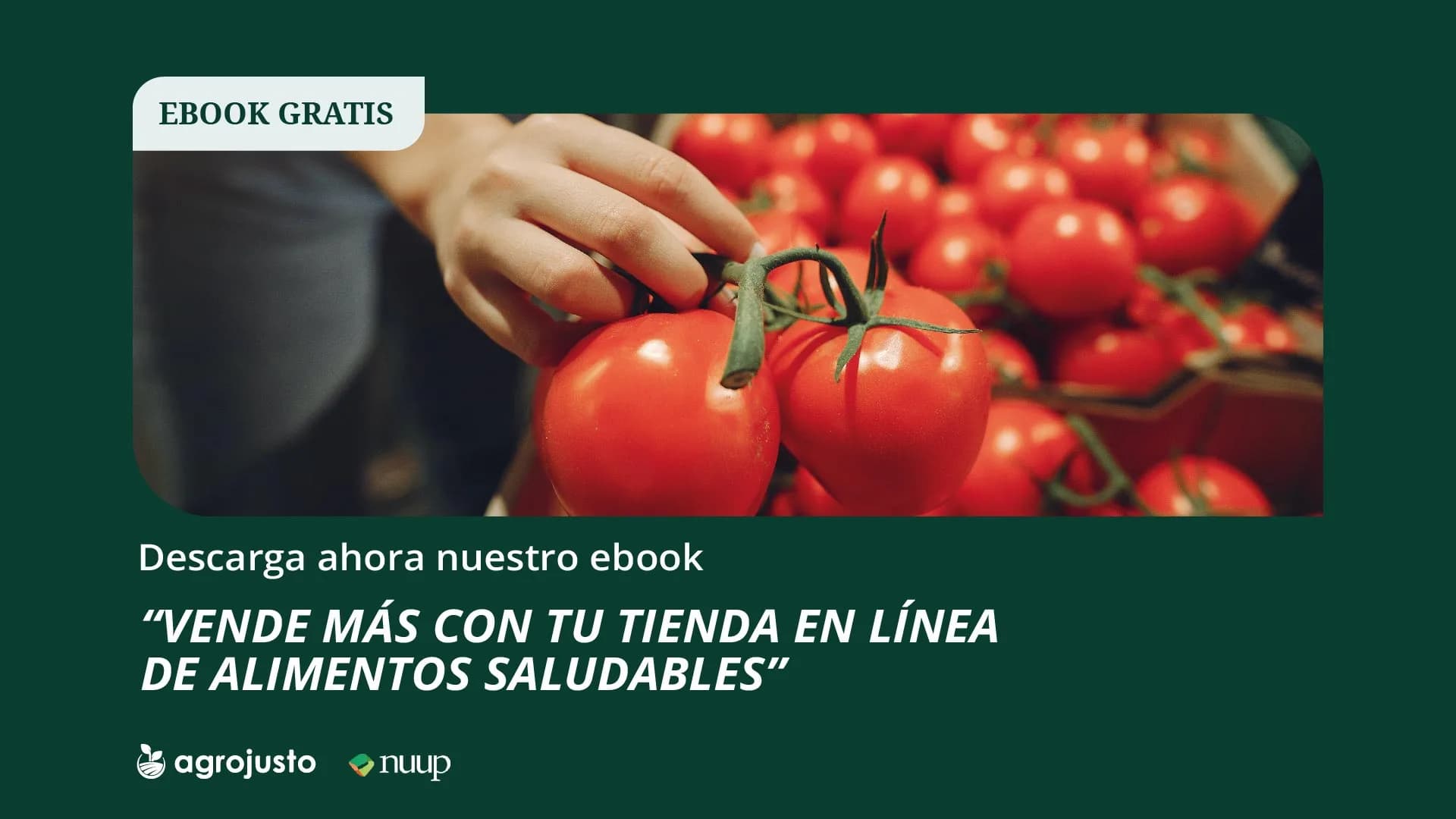 Sell more with your online healthy food store
