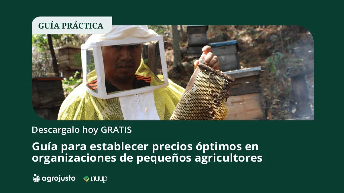 Guide to setting optimal prices in smallholder farmer organizations