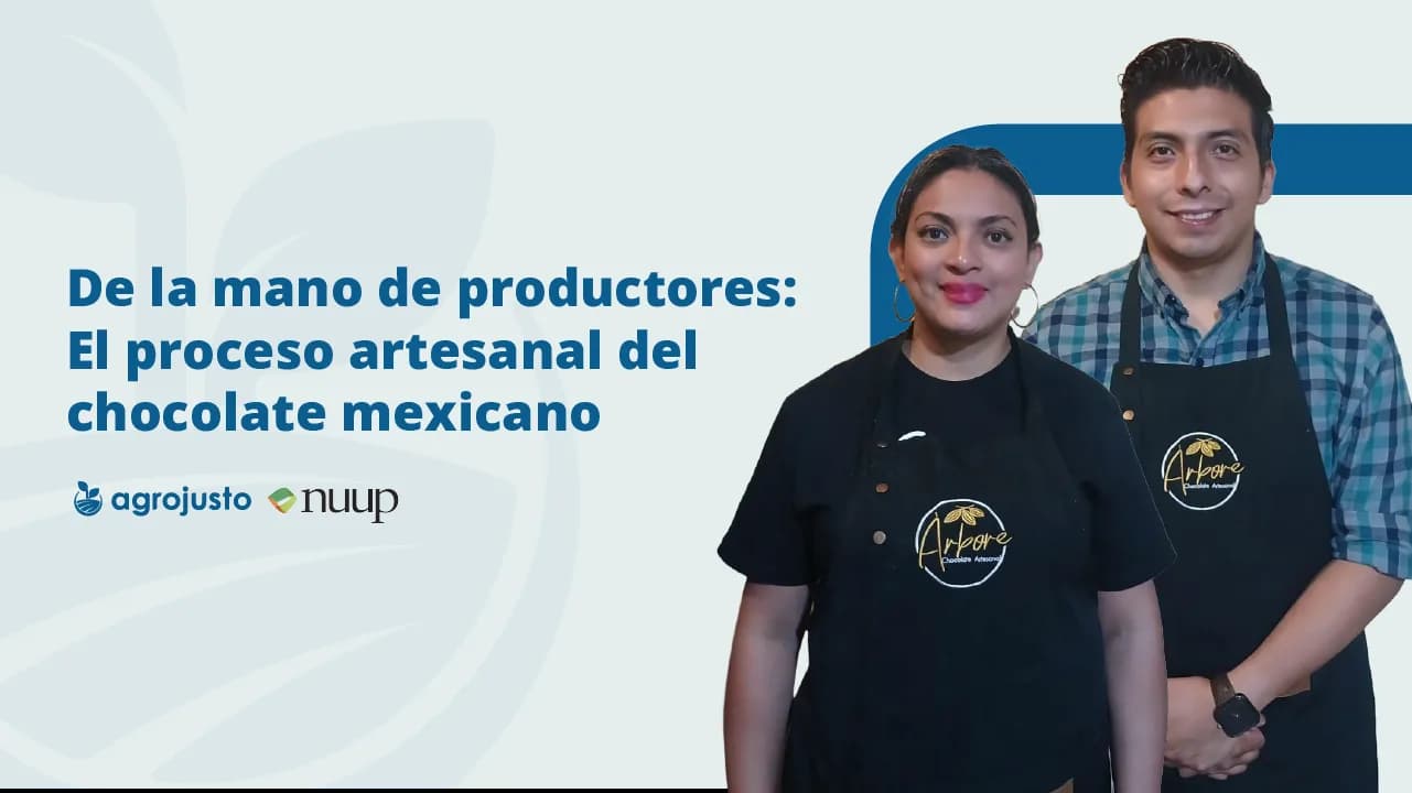 Webinar: De la mano de productores: El proceso artesanal del chocolate mexicano