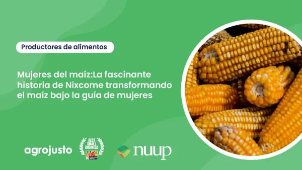 Webinar: Women of maize: The fascinating story of Nixcome, transforming maize under the guidance of women